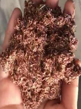 抖圈-为du而生官网入口