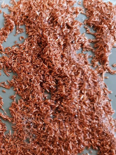 抖圈-为du而生官网入口